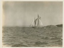 Image of Fishing schooner-homeward bound